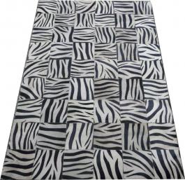 ZEBRA ACID